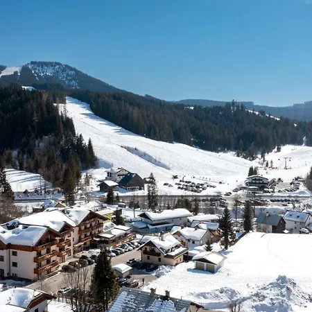 Wellness- Und Garni Dachsteinresort Russbach am Pass Gschuett