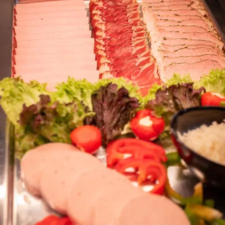 Wellness- Und Familienhotel Garni Dachsteinresort Lägenhetshotell 4*