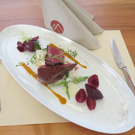 Wellness- Und Familienhotel Garni Dachsteinresort Apartahotel Russbach am Pass Gschütt