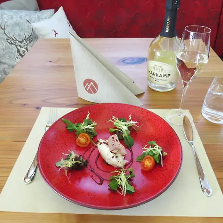 Lägenhetshotell Wellness- Und Familienhotel Garni Dachsteinresort 4*