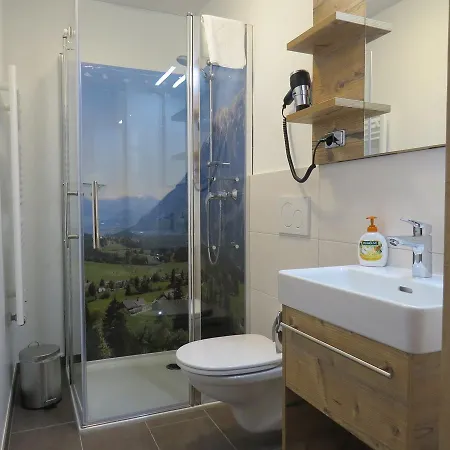 Apart- Und Wellnesshotel Dachsteinresort Rußbach am Paß Gschütt