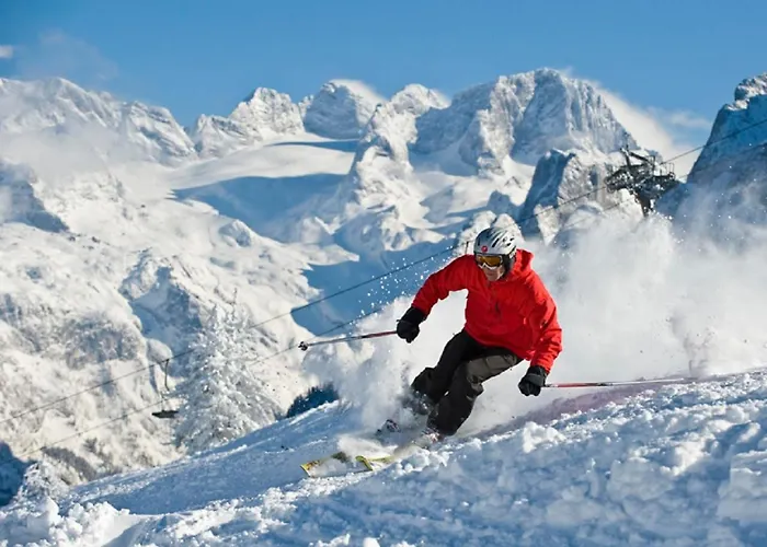 Wellness- Und Garni Dachsteinresort アパートホテル ルスバッハ・アム・パス・クシュット