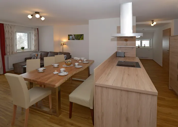 アパートホテル Wellness- Und Garni Dachsteinresort