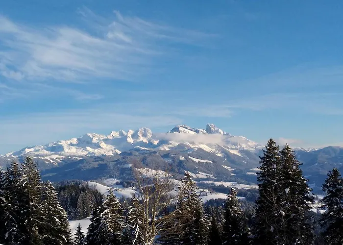 アパートホテル Wellness- Und Garni Dachsteinresort ルスバッハ・アム・パス・クシュット